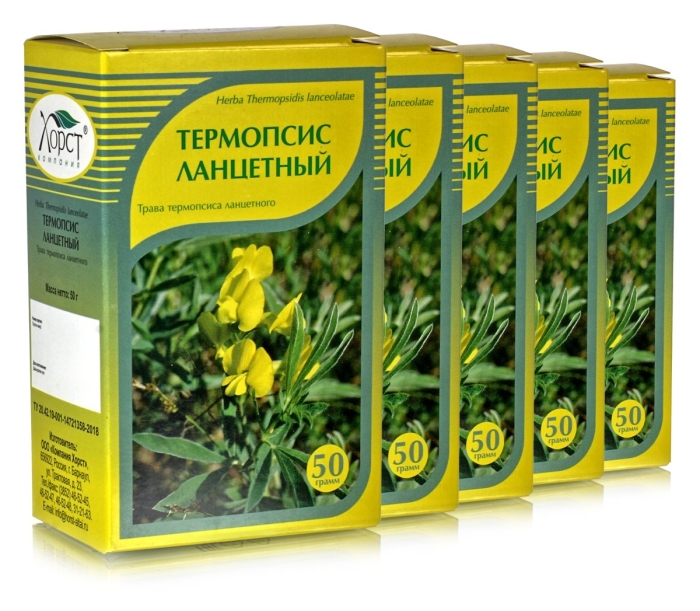 Трава термопсиса