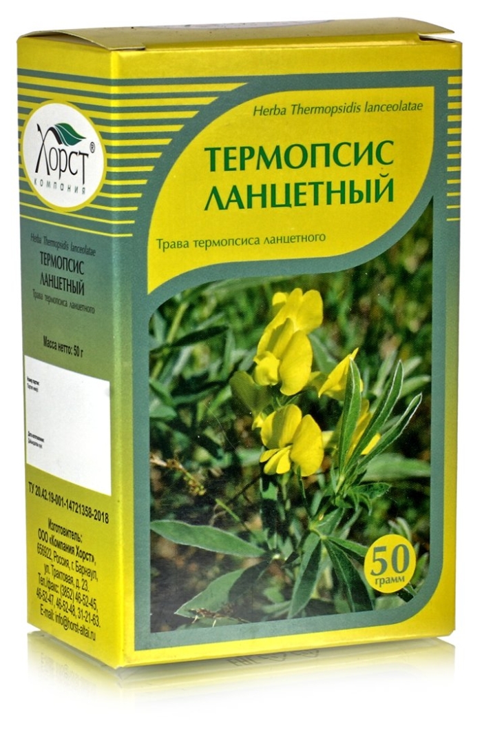 Хорст трава термопсиса ланцетного
