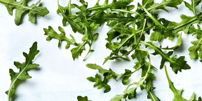 Рукола или руккола