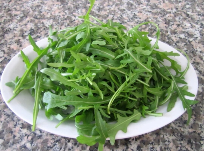 Рукола или руккола