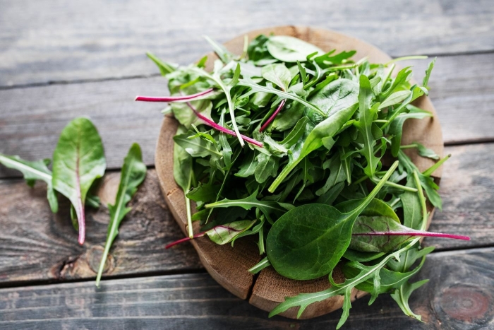 Руккола шпинат мангольд