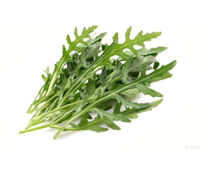 Рукола дикая двурядник тонколистный
