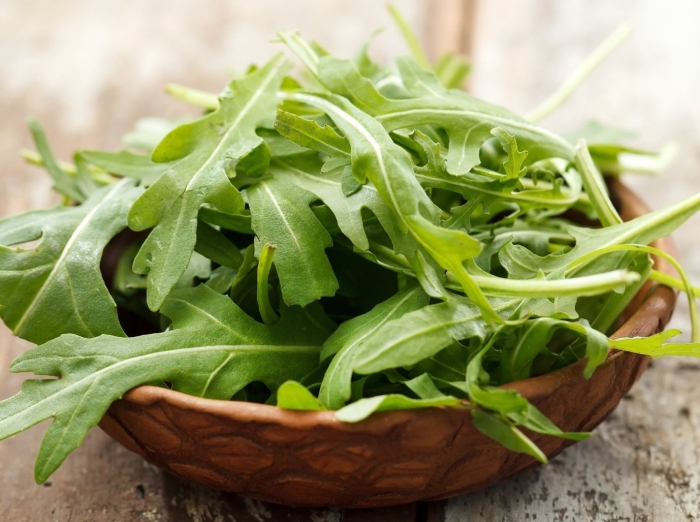 Eruca sativa руккола