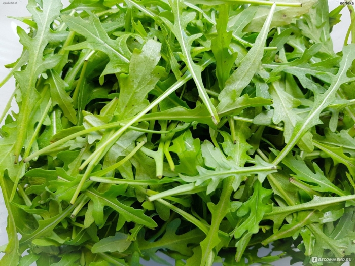 Рукола индау