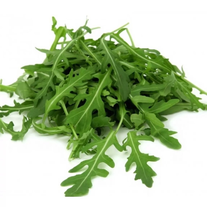 Рукола рокет