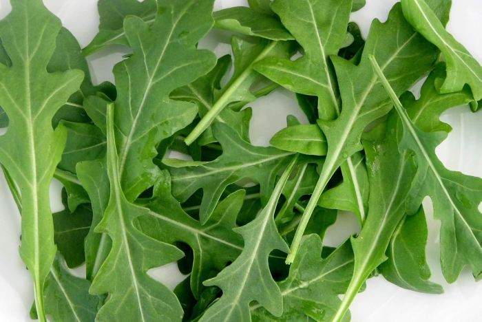 Руккола индау