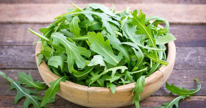 Eruca sativa руккола