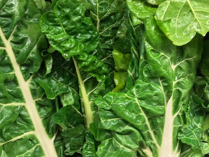 Латук посевной