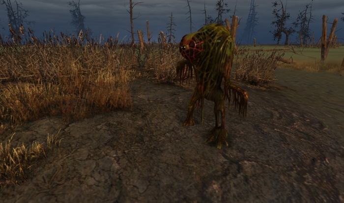 Верлиока сталкер