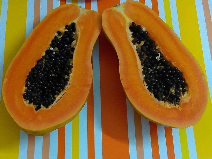 Папайя дынное дерево