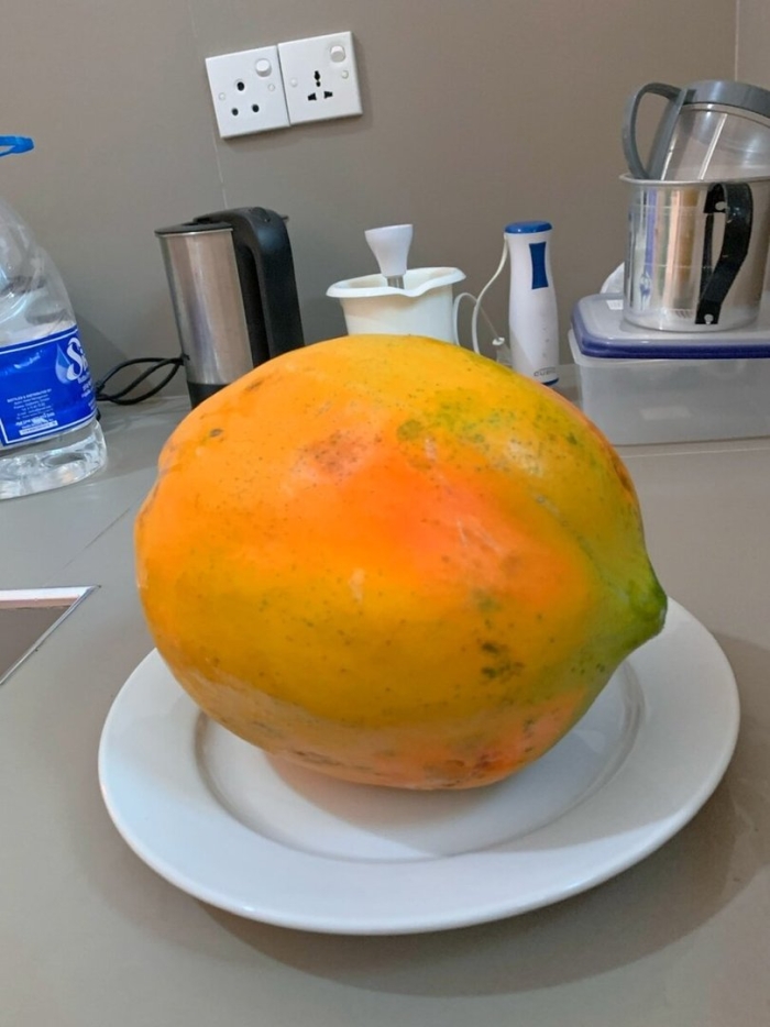 Фрукты шри ланки