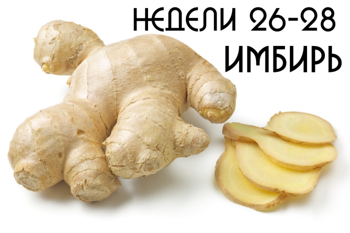 Корень имбирь