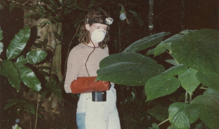 Растение гимпи-гимпи австралийское