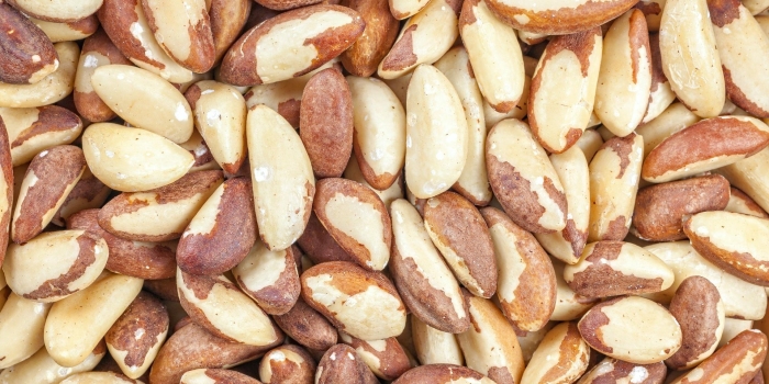 Бразильский орех очищенный отборный