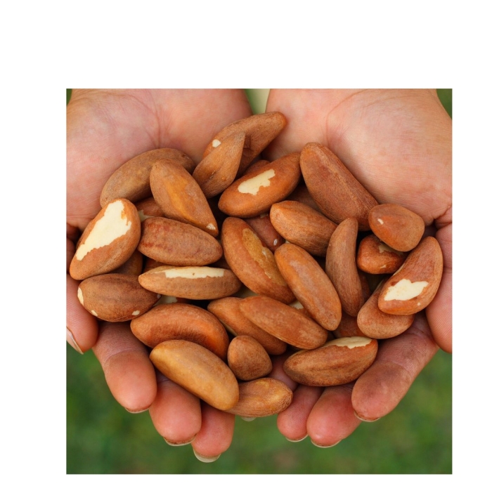 Орехи орех бразильский