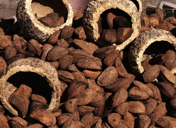 Бразильский орех в скорлупе