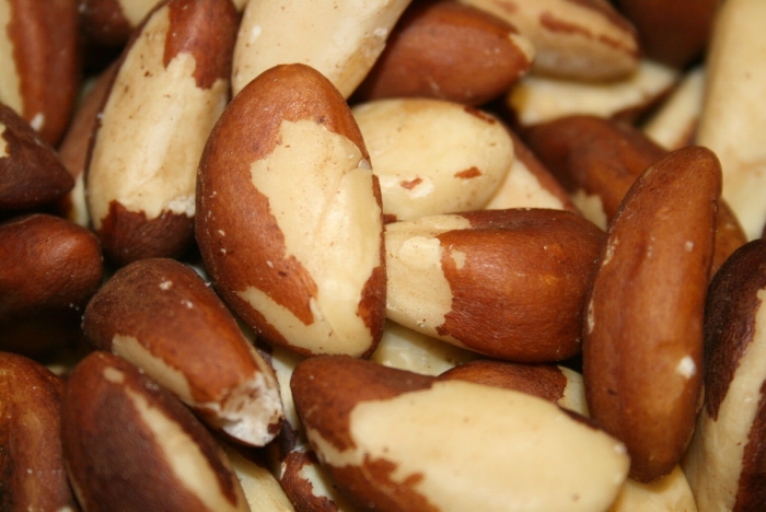 Bertholletia excelsa бразильские орехи