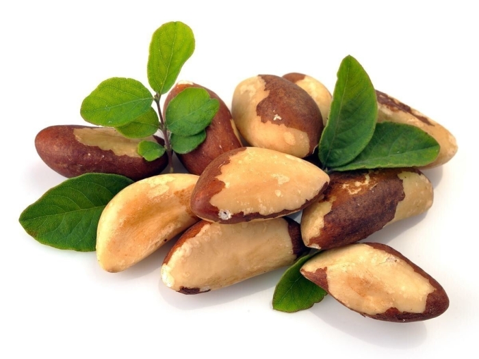 Bertholletia excelsa  бразильские орехи