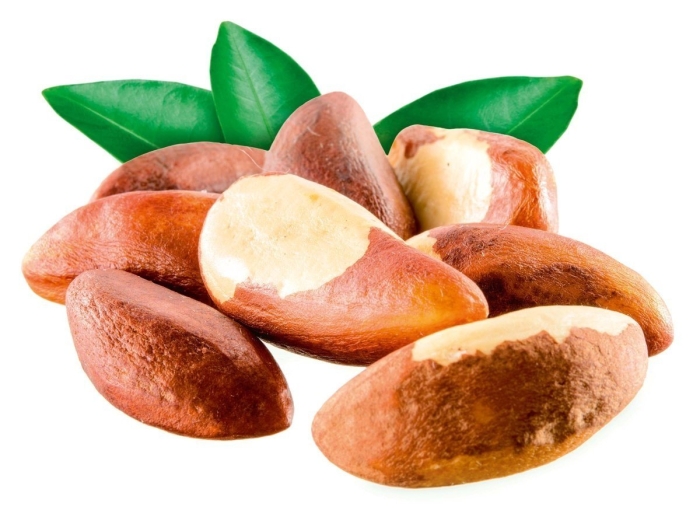 Bertholletia excelsa  бразильские орехи