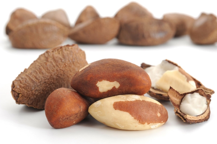 Бразильский орех бертолетия
