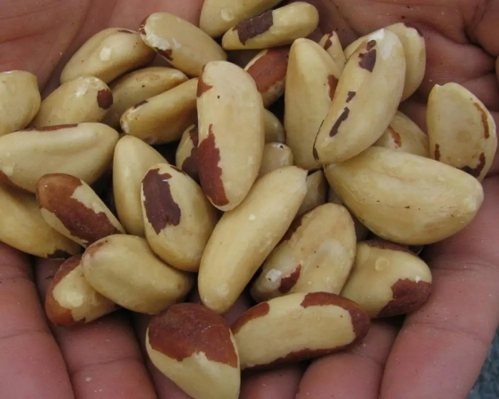 Арахис бразильский