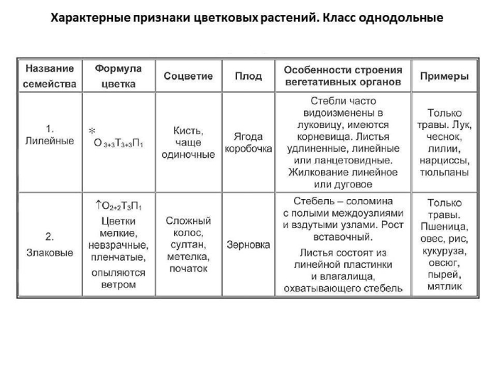Таблица семейства цветковых растений 6 класс биология