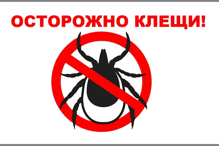 Клещи осторожно