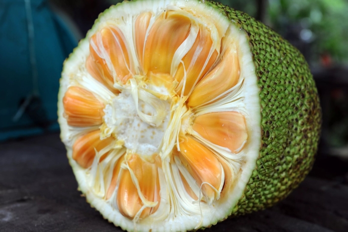 Фрукт джекфрут