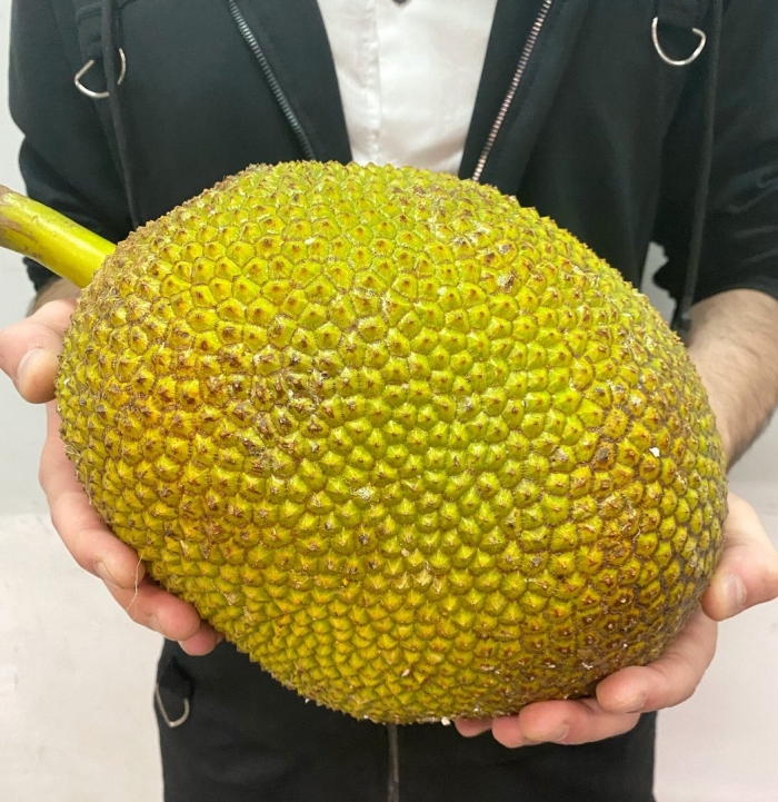 Джекфрут кинг