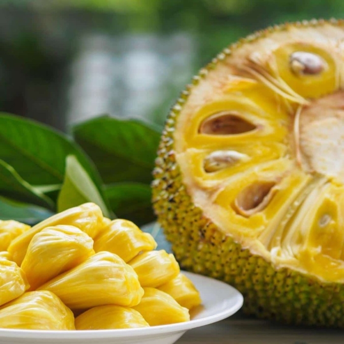 Фрукт джекфрут