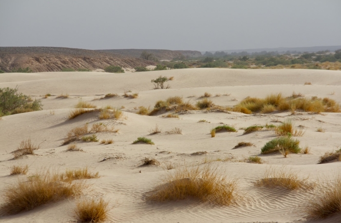 Муюнкум пустыня