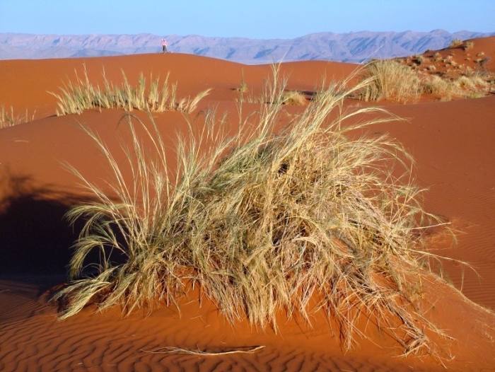 Соссусфлей мертвая долина