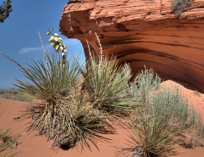 Monument valley utah