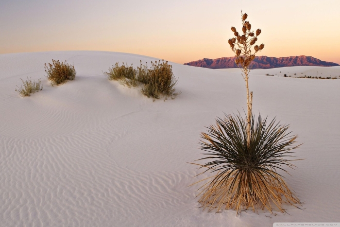 Пустыня уайт сэндс