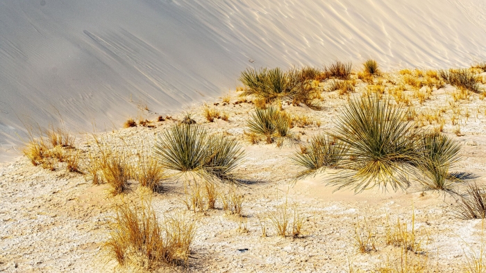 White sands national monument