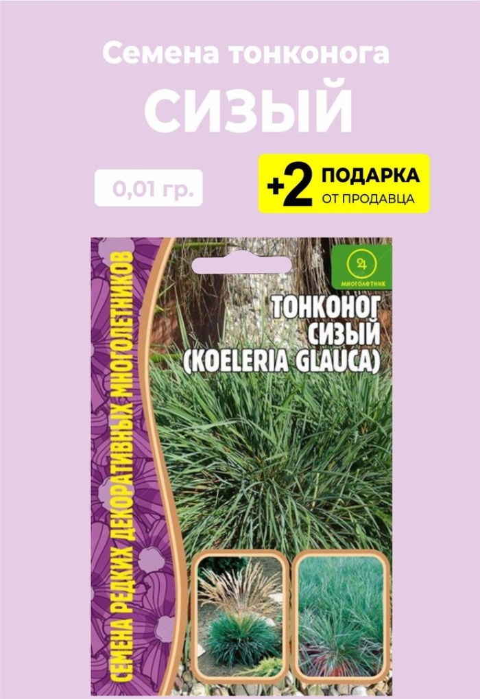 Гавриш овсяница декоративная синичка