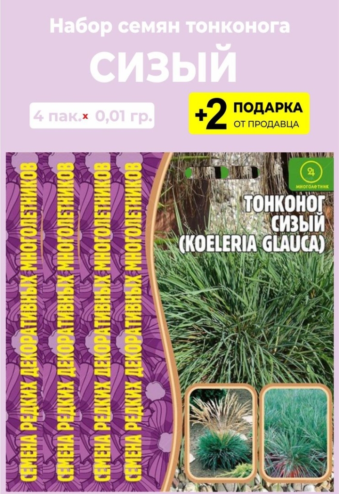 Аэлита овсяница сизая лазурит