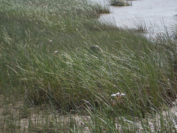 Природа море