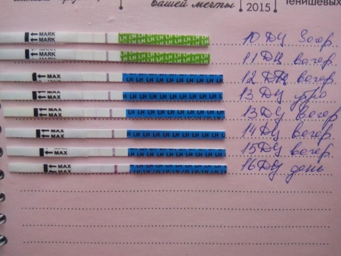 Тест полоски на овуляцию фраутест