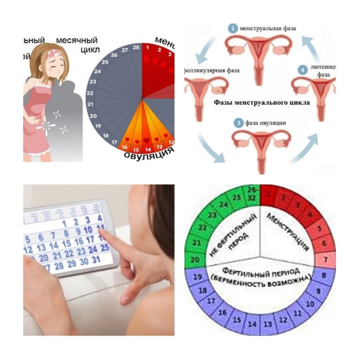 Менструальный цикл безопасные дни