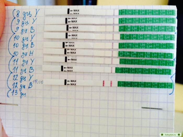 Тесты овуплан динамика на овуляцию