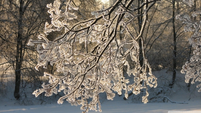 Зимние кружева