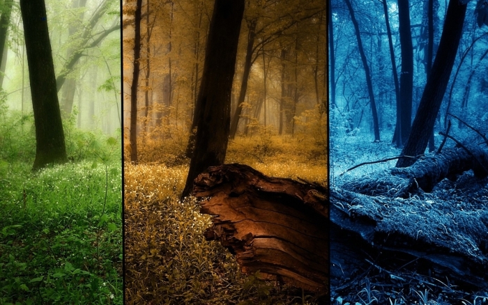 Лето осень зима весна