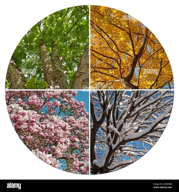 Пейзаж в разное время года