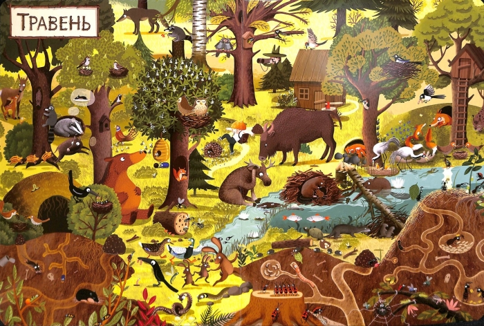 Год в лесу книга эмилия дзюбак