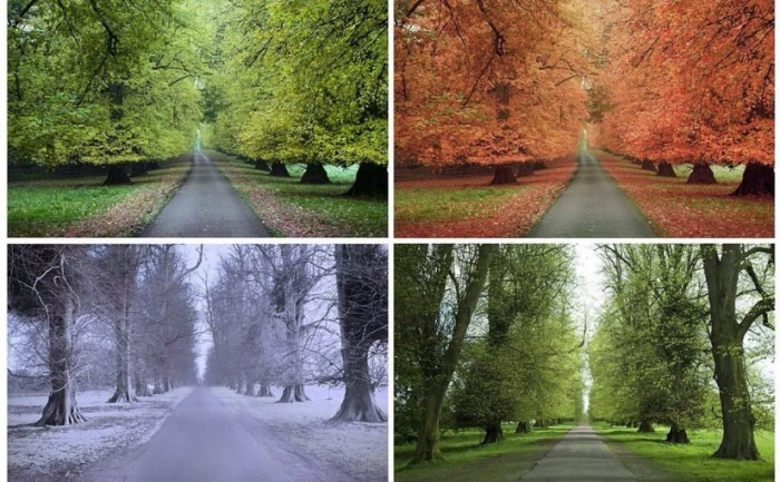 Времена года