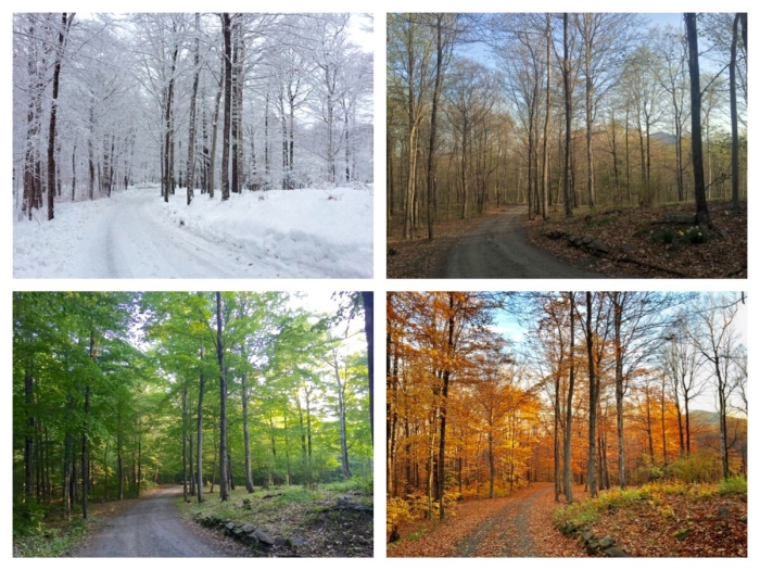 Пейзаж времена года