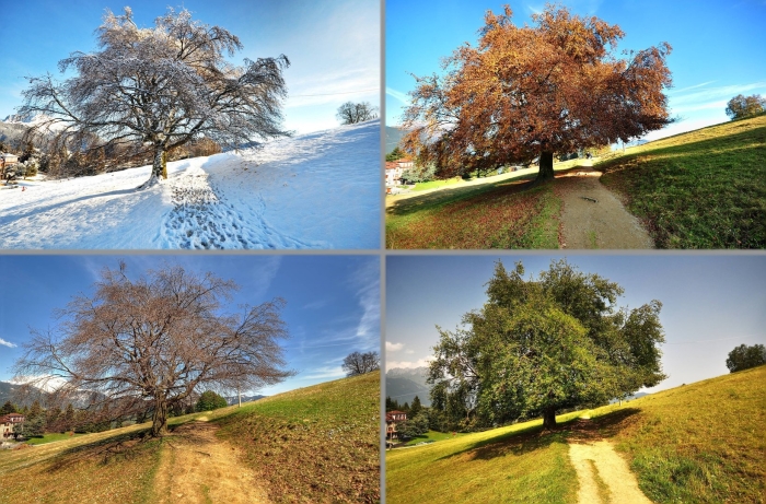 Лето зима осень весна