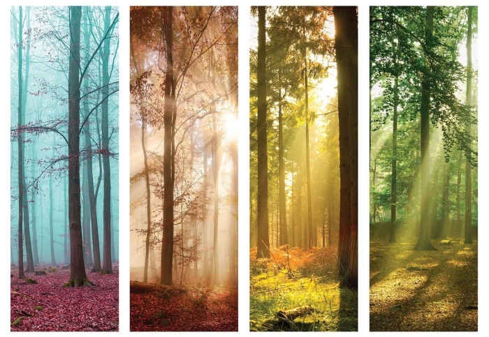 Зима лето весна осень