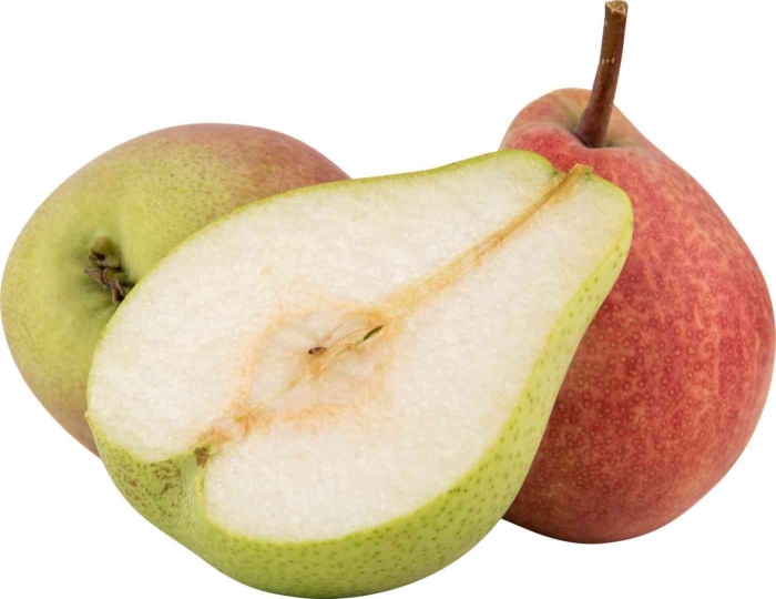 Груша академическая